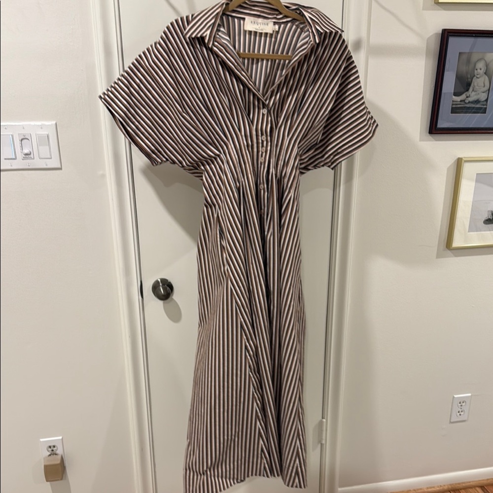 THE TOBIE BUTTON-FRONT PLEATED SHIRT DRESS BY EXQUISE